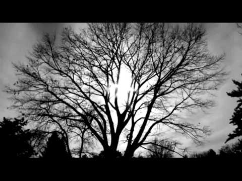 ابوبكر الشاطري - فَهُوَ فِي عِيشَةٍ رَّاضِيَةٍ