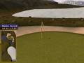 Golden Tee Great Shot on Summit Lakes!