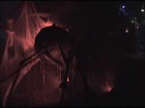 spider riders