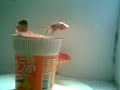Goldfish in Microwave Goldfish in Microwave