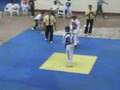 2008 Palarong Pambansa - Taekwondo
