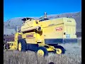 k-z-l-ren-ali-akar