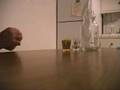 Quarter master