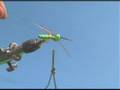 Logan's Hopper (part 2)