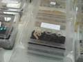videos de Ken and Mike at the S.O.R.B.E. Caledonia Reptile Show.