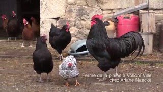 "Brin de terroir"