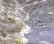 Meanwood Valley Deluge