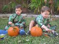 Painting Pumpkins