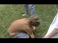 English Bull Dog Bunker 10 weeks old