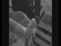 videos de Sims 2- Goot- Everytime We Touch RATED 18