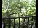 Tropical Family Bungalow Video Tour by Tiger Muay Thai