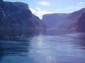 Birds at Aurlandsfjorden