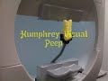 Optometry Peeps