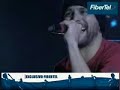 La vela Puerca - Llenos de Magia