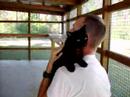 Sea Biscuits and me at Spaymart Sea Biscuits and me at Spaymart