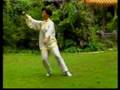 Taiji 24 Forms by World's Champion 李俊萍二十四式太極拳