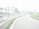 Niigata cycling road (1/2)