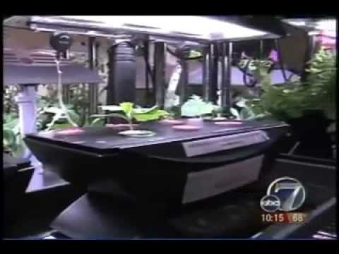 how to grow plants without soil