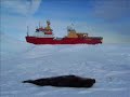 Weddell Sea
