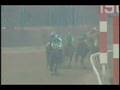DOMINGO SIETE - Gran Premio Criadores Gr. II