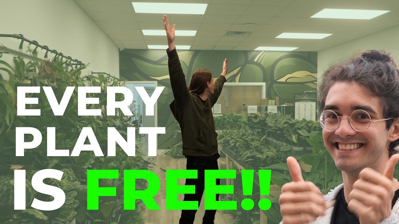 $10,000 of FREE plants given away