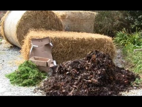 how to properly mulch around trees