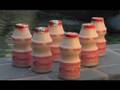 Yakult: Probiotics and Your Health