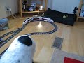Dog derails LEGO ICE Train / ICE Zug Entgleisung