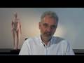 videos de Leitlinie1-2