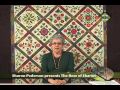 Sharon Pederson's DVD teaches the techniques necessary to make the Rose of Sharon quilt featured in her latest book. The project began as a block design contest hosted at Electric Quilt's website in support of the Alzheimer's Art Quilt Initiative. Each of the finalists from the block contest show one of their designs at the end of the video sampler presented here,