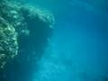 Red Sea, Sharm El Sheikh, Egypt #6