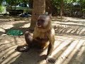 Expedi��o Espeleologia Brasil 2006