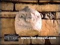 Travel to Peru with www.cat-travel.com