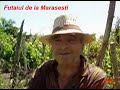 futaiul de la marasesti .. hehe tulcea By BuRn Manele-Gratis.net