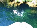Baleia Branca Baleia Branca