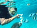 Snorkeling at Pulau Redang, Malaysia