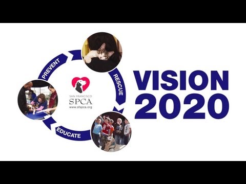 sfspca - The San Francisco SPCA presents its plan to end animal abandonment in SF by 2020.