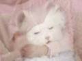 20�w�w TOKYO����16
