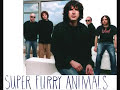 Super Furry Animals