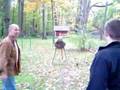 Throwing Tomahawks 1