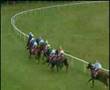Giant's Causeway- 2000 Eclipse Stakes