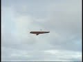 Weasel flug bei Windstärke 6-7 - Teil 1 Weasel flug bei Windstärke 6-7 - Teil 1