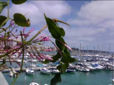 Image de prévisualisation YouTube