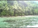 Damaged Ade.. BSN 3D ecotour