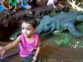 Manu and Crocodile