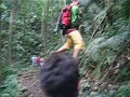 tarzan tarzan