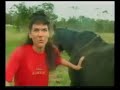 asteio video