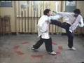 Yin Ba Gua (Pierna lateral)