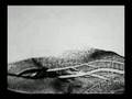 WHITE SNAKE 实验动画电影-白蛇