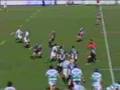 rugby referee position 